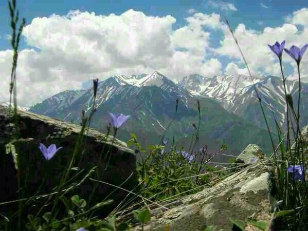 khalatbari9's tweet photo. http://t.co/RgNSGKPC6p