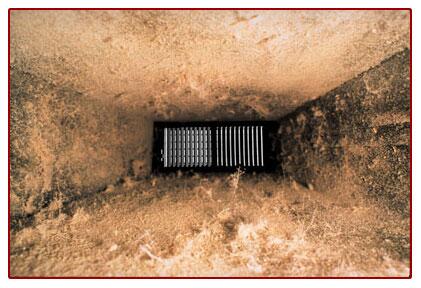 callthemfirst's tweet photo. Did you crank up the AC today like everyone else in the GTA ππ·π‘
Don't forget to clean those dusty air ducts! Ductwork can circulate odors, mould spores and irritating dust.
#toronto #weather #callthemfirst #selectrestoration
https://t.co/ePN77aT9AI
https://t.co/5RVStu3WzU