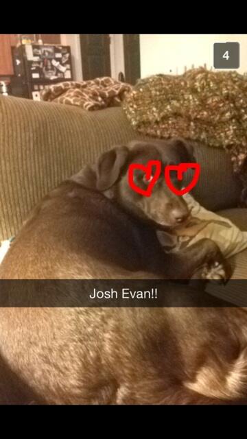 _HeyMrCarter's tweet image. Paisley is the best @MisssCarterr