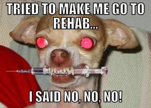 funnypictures02's tweet photo. http://t.co/qMe30sU5jY