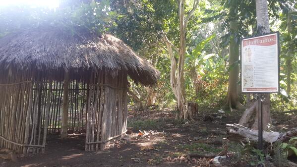 Jamaicaculnary's tweet photo. Replica of a Taino Hut at New Seville, St. Ann, Jamaica #JNHT http://t.co/F3GbzWDtgB
