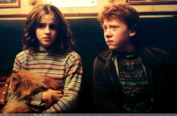 ThHarryPotter's tweet photo. My Friends Ron And Hermione #HarryPotter http://t.co/aABhie8ezV