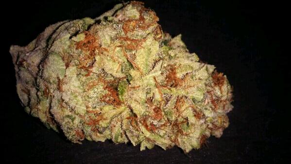 bcgenetics's tweet image. Moonwalker OG.  25% THC. Exclusively at BC Genetics.