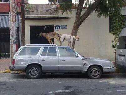 la_gr0sera's tweet photo. Tú y yo así, no sé. Piensalo. http://t.co/lrwdJFqKlM