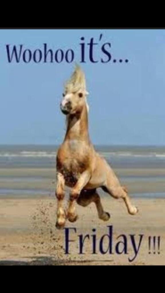 Leigh_Fairless's tweet photo. Hahaha  @wesbigmac @HayleyPartis590 http://t.co/ZvUayGSkqa