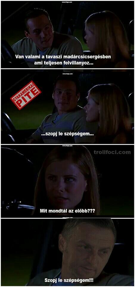 Sivic mester a ligakupa döntőben felajánlotta a videoton kispadnak étkezési célra a nemi szervét.