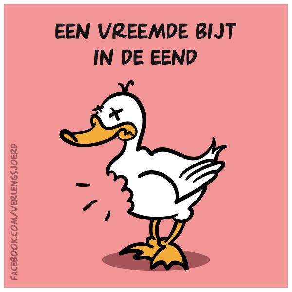 #cartoon #woordgrappen #vreemdeeend #verlengsjoerd