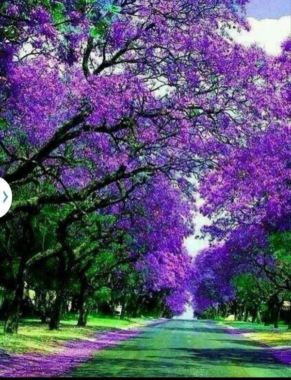 따스한 햇살이 드리울때
살랑살랑 바람이 스칠때 
맛있는 음식을 먹을때
제일먼저 생각나는사람 
바로 당신이야
당신 생각하면 왜이리 가슴이 
먹먹하고 눈물이날까 
숨 막힐듯 차오르는 설움
그리움이지? 사랑인거지?.