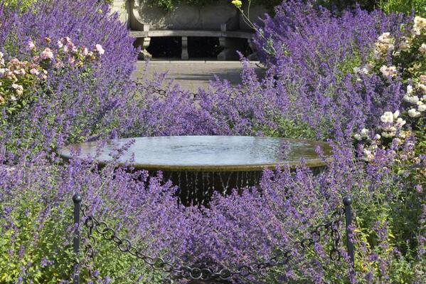 RT <a href="/The_RHS/">The RHS</a> Don't forget there's amazing garden sights outside of #RHSChelsea too; <a href="/RHSWisley/">RHS Garden Wisley</a> showing off in the sun!