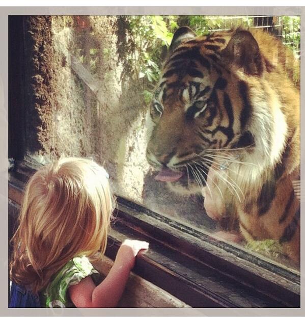 jhbarber5's tweet photo. @TopekaZoo #tzpfanfriday Rojo and my daughter, Nora. http://t.co/DQPthdBNAG