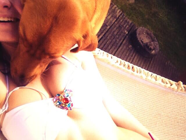 my puppy loves my lady lumps 😂#photobomb http://t.co/76C4FroZg1<a href="/tag/photobomb"class="tags">#photobomb</a>