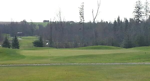 Just waiting for the trees to pop to fill it all in! @PennHillsGolf  #greatgolfweather