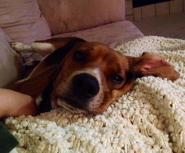 Wake up! It's my 2nd birthday! 🎈