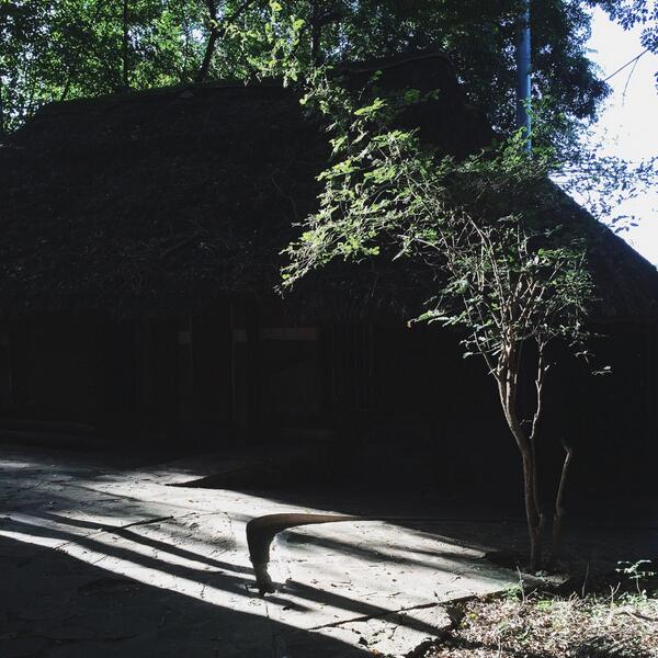 The afternoon light on Mahenye Island #zimbabwe #safari
