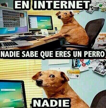 letsiraptor's tweet photo. NADIE... http://t.co/diowLMwRP5