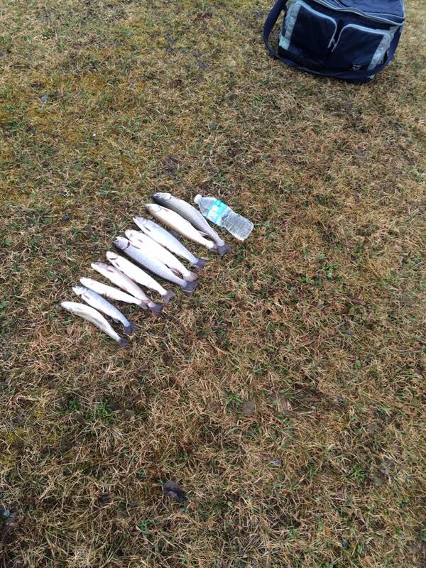 AwcenterTammy's tweet image. Good day for #fishing #tobiqueriver @SeeNewBrunswick