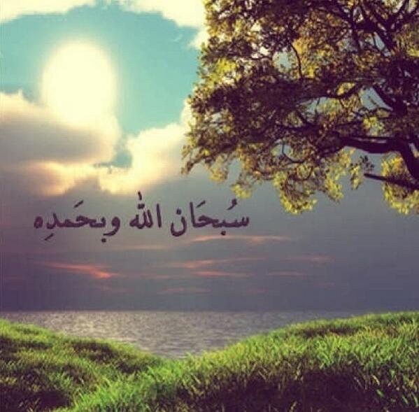 Toog_looj's tweet image. 