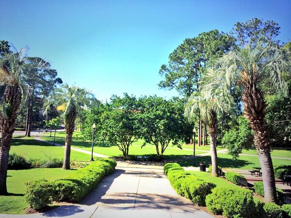 RoomScapeU's tweet image. This is the Florida State University.