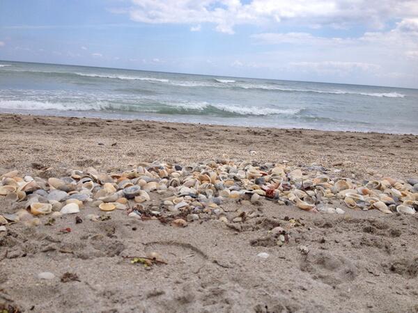 Taste the salt on your skin, who the hell wouldn't wanna live here?