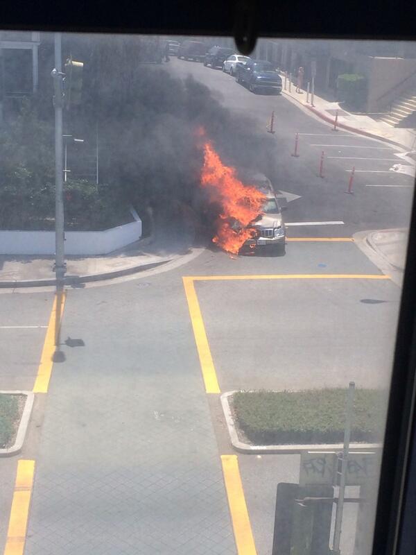 Petra Griffith tweet media