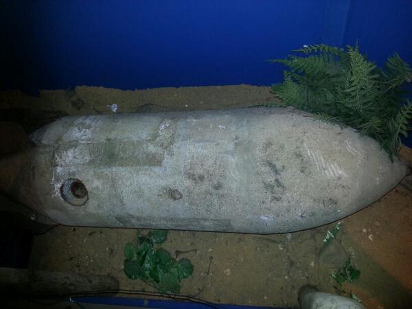 In the Footsteps tweet media