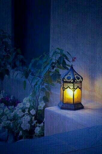 어느날 문뜩 스치는 바람에
꽃씨 하나 날아와 내 마음에
희망과 사랑의 꽃을 피우네

그대의 진실된 사랑이 상처로 
주저앉은 나를 일으켜 세우고

그대사랑 내가슴에 파고드니
오직 그대만을 사랑해야지.