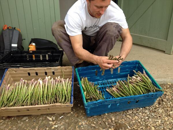 burwashlarder's tweet photo. Sorting the finest @hitwcambridge @grantchesterpub @Midsummerhouse @burwashmanor #spearsofgoodness http://t.co/ZCGlasASbz