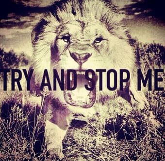💪 http://t.co/yCyBUstJs6