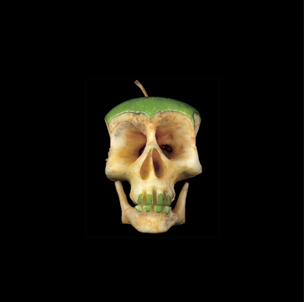 sastronautt's tweet image. Why should pumpkins have all the fun?

#Anatomy #Art -Dimitri Tsykalov
#cuttothecore #science #somuchforanappleaday