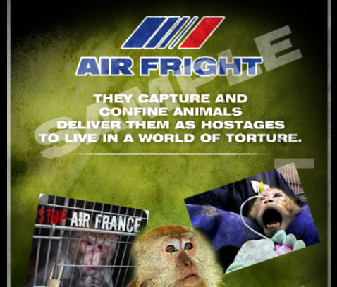 _CreatureNEWS's tweet photo. Cool!! Possible Mohr #Documentary about @airfrance called #Air Fright coming soon? Tells the story from the inside... http://t.co/Ah5vYbUFpY
