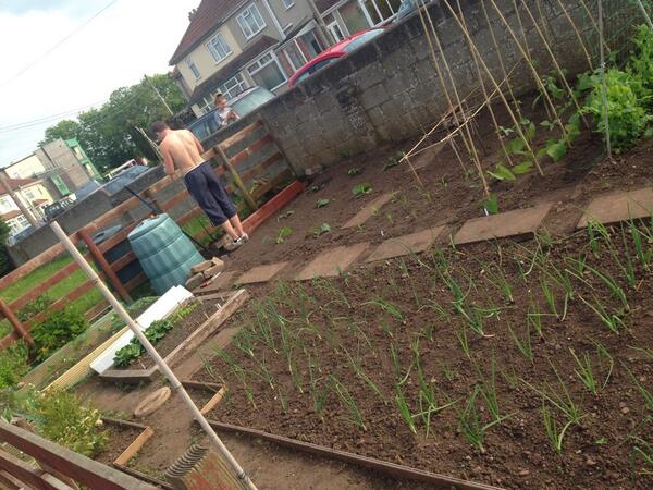 lovesmorg's tweet image. It&apos;s all happening in our veggie patch 😃 #selfefficient #growyourown ☀️☀️☀️
