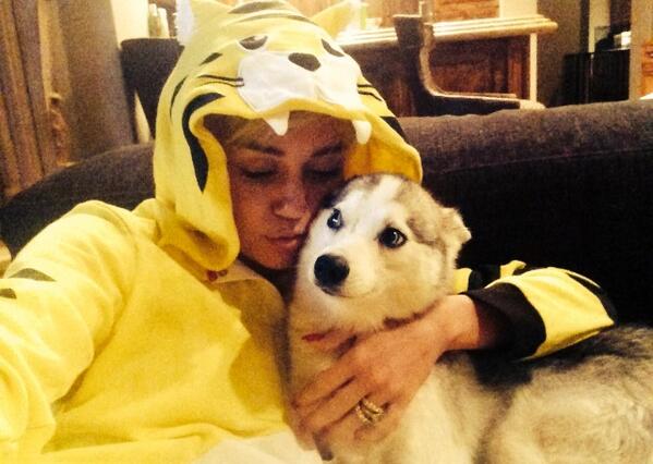 miley tweet picture