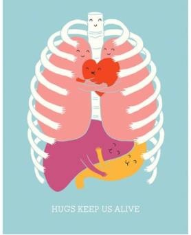 alebrachoa's tweet photo. How we feel now @carlotamgraf @alerua4 @helene_10 #lologramos #detox #éxito http://t.co/Q2aFJveils