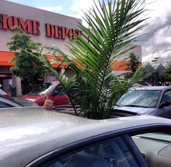 OliviaCawley's tweet image. #fbf when @ACMacdeezy and I bought a plant without thinking about how we&apos;re gonna get it home. #madeitwork