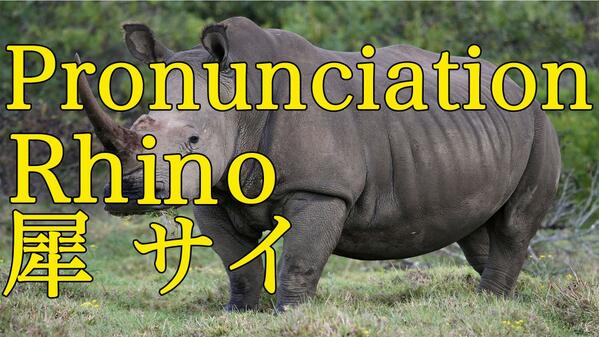 Hirakana How To Pronounce Rhino In Japanese 犀 サイ Pronunciation Japan Movie Http T Co Smyaj6jlhr Japan Japanese Http T Co Mblxs9bqkh Hirakana How To Pronounce Rhino In Japanese 犀 サイ Pronunciation Japan Movie Http T Co Smyaj6jlhr Japan Japanese Http T Co Mblxs9bqkh
