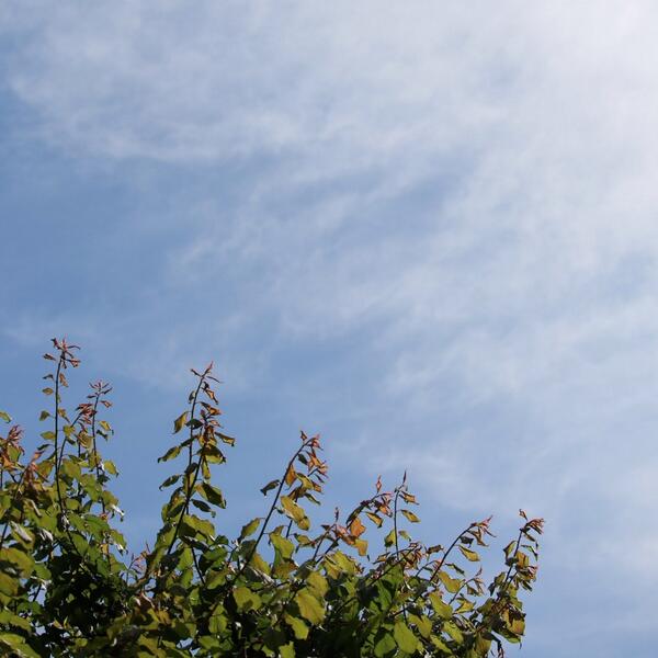 moritako's tweet photo. 天気良し、なれ度風強し。少し暑く為ってきたねヽ(´o｀； http://t.co/5dSHcZgH22