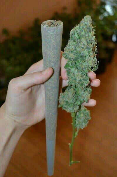 WeedModels's tweet image. Nada mas que decir.