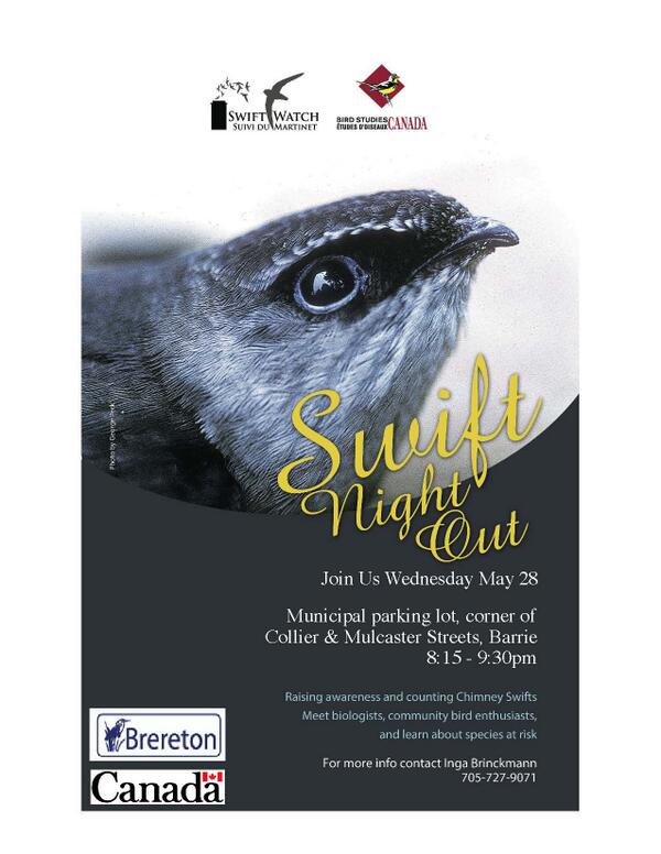 DUContario's tweet image. Looking for a fun activity tonight? Join @BirdStudiesCan @BSCOnt at the #Barrie Swift Night Out  #SwiftWatch