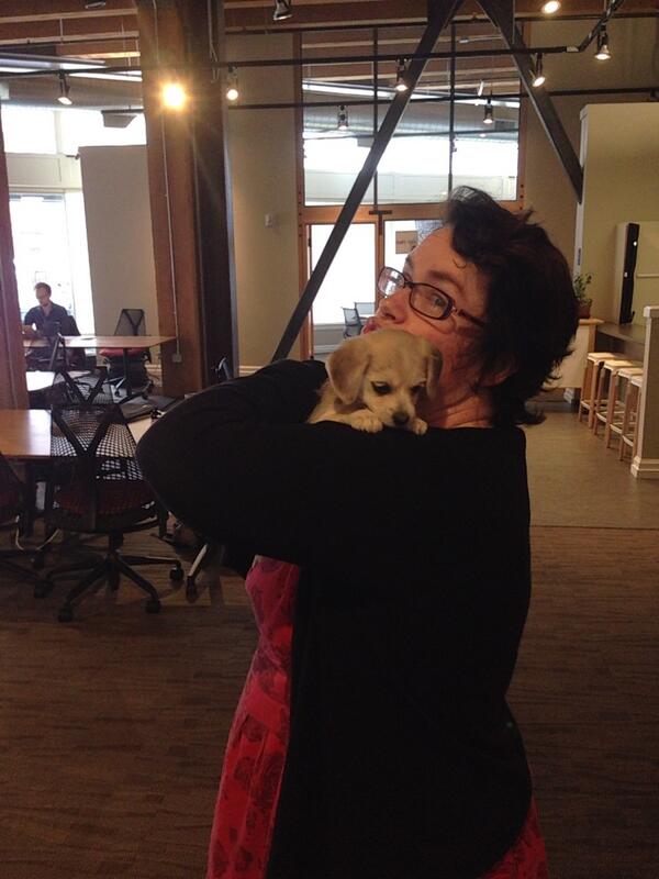 Shunpike tweet media