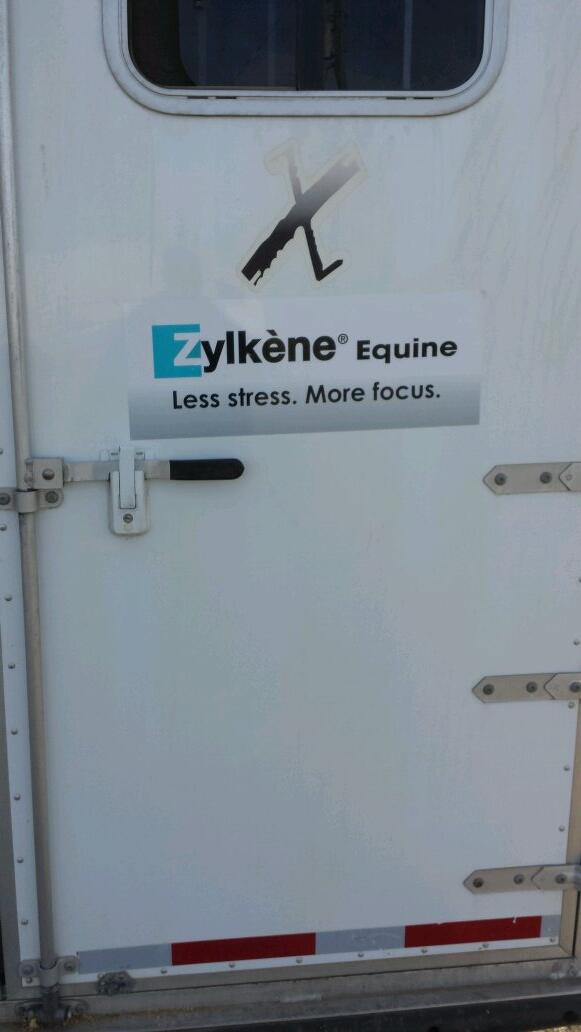 vetoquinolBUM's tweet photo. New Product launch for Veto we are in the equine behavior business now http://t.co/uydqqoTiqA