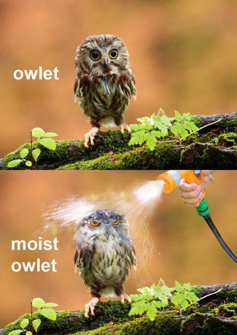 funnypictures02's tweet photo. http://t.co/kb57rtVYFd