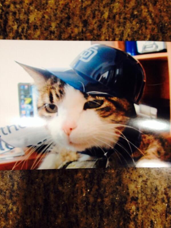 JerryWaldron's tweet photo. #sdfanphoto http://t.co/CUxHpvrVO1