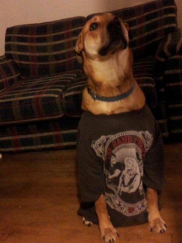 TBPandTSwiftfan's tweet image. Apparently Perry wants to join @thebandperry @neilcperryiii @thefansperry Fanclub! Well... If the shirt fits... lol