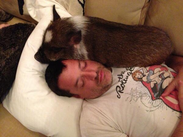 Tony and Porkchop are wore out after the truck race