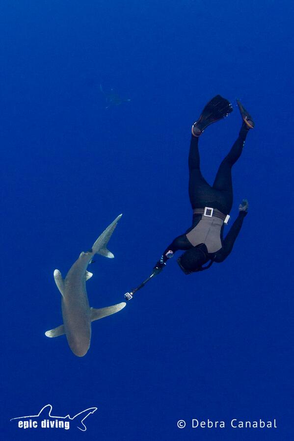 epicdiving's tweet photo. #girlsfamousline...we love sharks! @acottonphoto filming the oceanics with her @GoPro! @GirlsThatTravel #girlstravel http://t.co/rKn8uwdQ8E