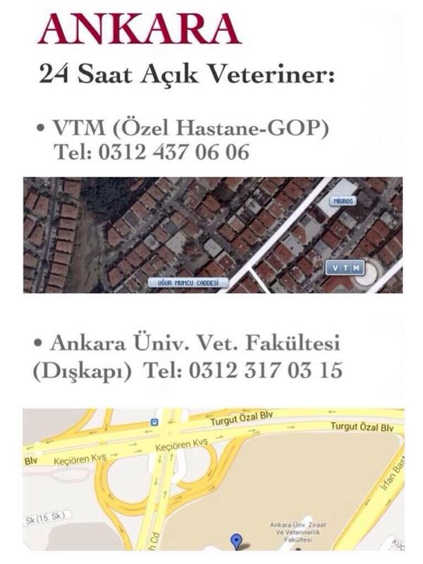 DirenenHayvan's tweet photo. #Ankara 7/24 Veteriner Kliniği

#GeziyiUnutma 
#GeziyiHatırlat 
#31Mayıs 
#31Mayısta1MilyonTaksime http://t.co/0qxGkY1dAk