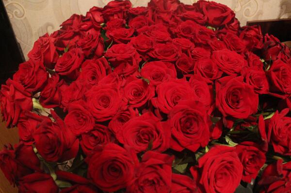 100Food's tweet image. 101 роза (60см) - 4700 руб. Доставка бесплатно! Тел. 8918-150-89-30