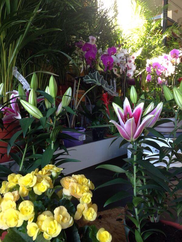 Esspora's tweet image. Nuevos productos recibidos, vengan a visitarnos en Camino del Potril s/n.