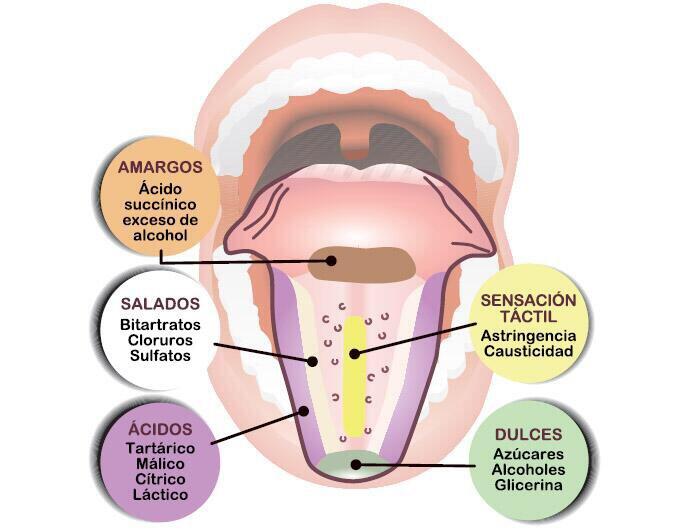 Enociencia on Twitter 