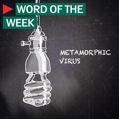 kaspersky's tweet photo. What is a #MetamorphicVirus? Find out in our Word of the Week: http://t.co/sjlcdm3zy2 http://t.co/aNEzx92PYj